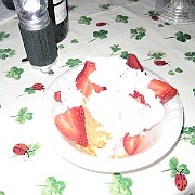 Picture 033